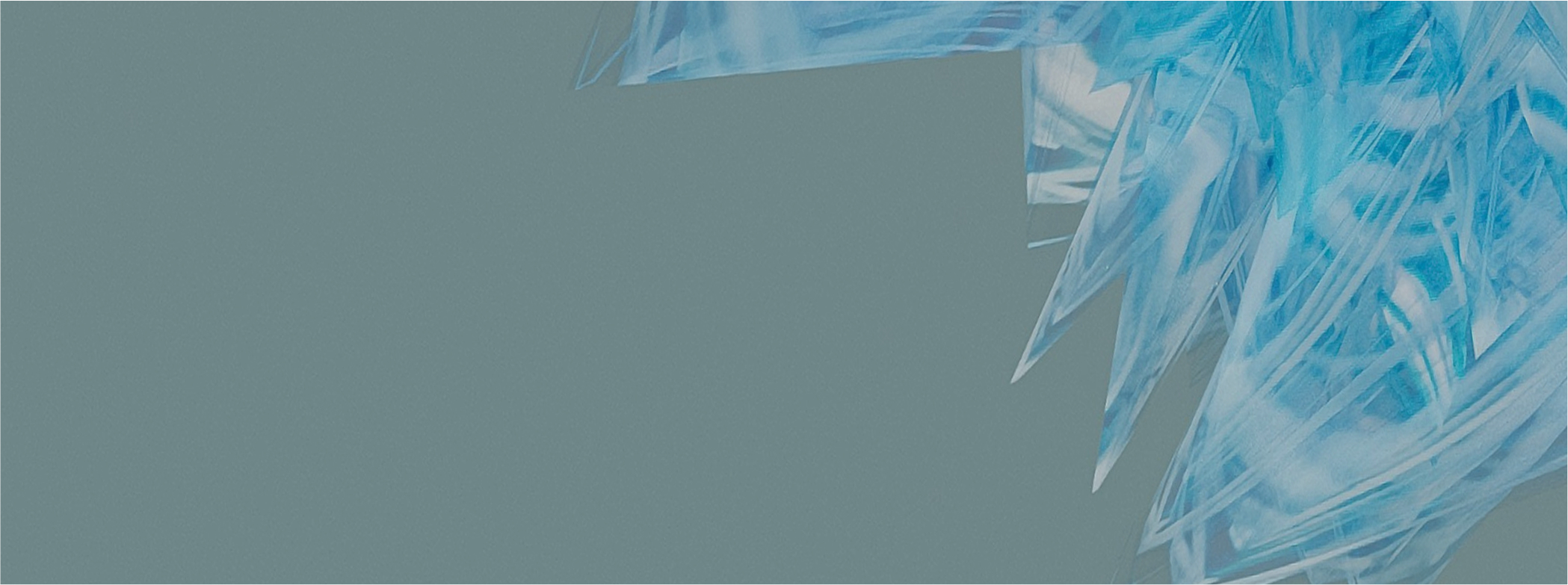 /wp-content/uploads/2025/12/review-form-background.jpg
